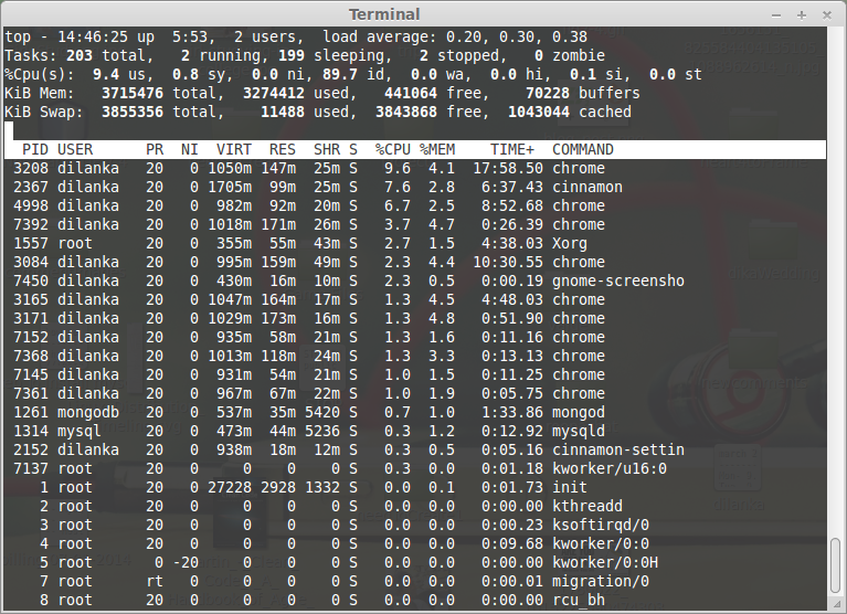 how to see the running processes on linux terminal Gihan Dilanka