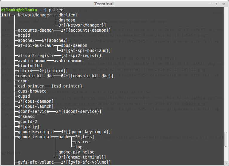 how to see the running processes on linux terminal Gihan Dilanka